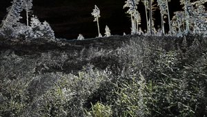 Unknown Image